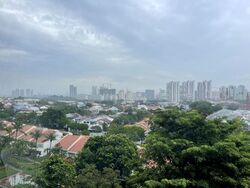 The Trizon (D10), Condominium #498327861